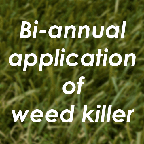 The bi-annual application of weed killer will help prevent weed growth