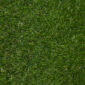 Dorchester 35mm Grass